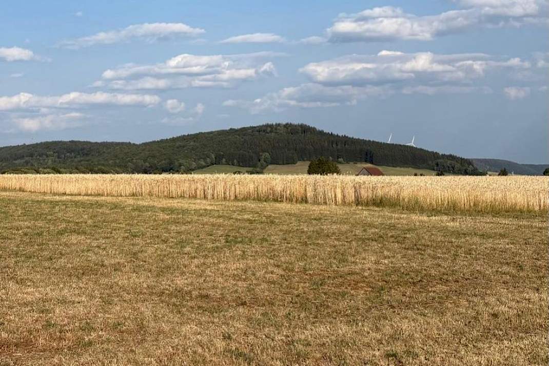 Uitgedroogd grasland met een graanveld op de voorgrond, met beboste heuvels en windturbines onder een blauwe lucht met wolken.