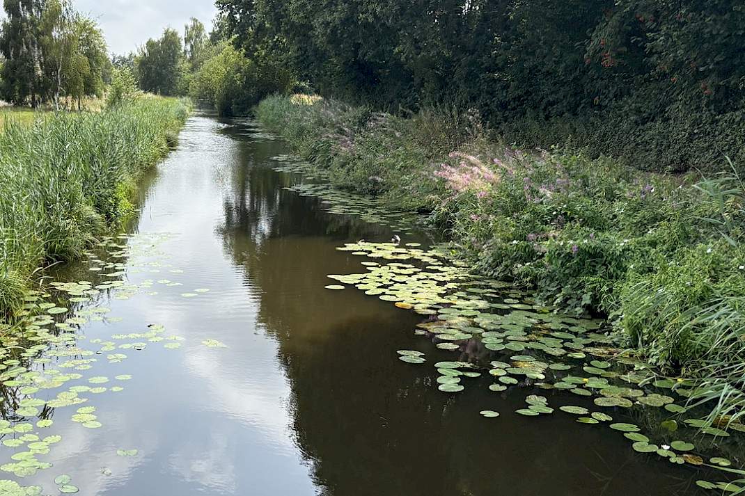 Water in de sloot