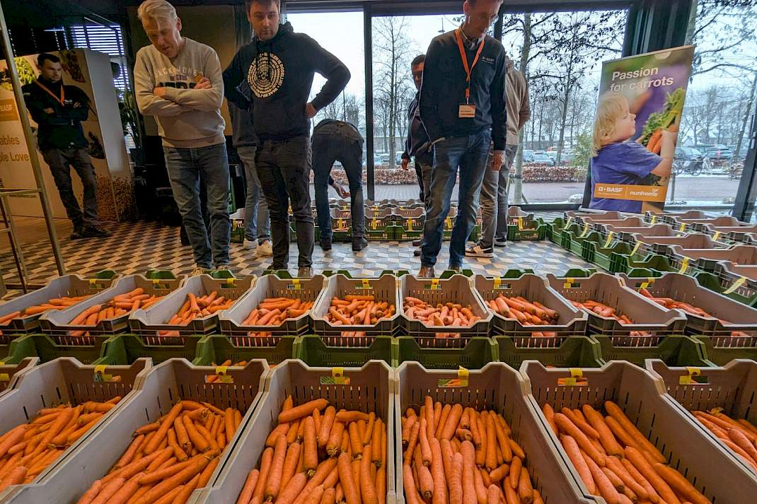 Bewaarpeen kistjes beoordeling
