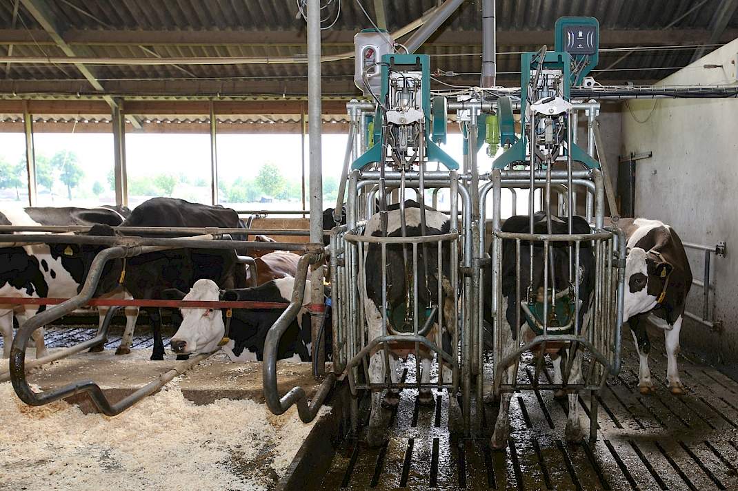 Het koetoilet van Hanskamp in gebruik