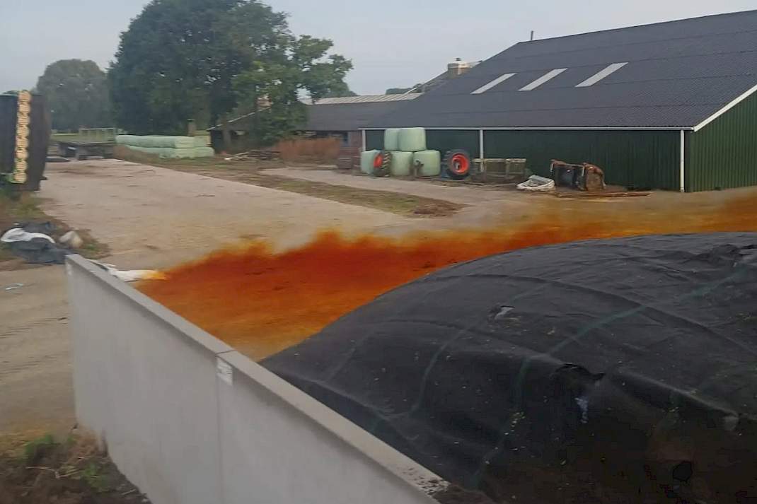 Nitreuze dampen uit een maiskuil