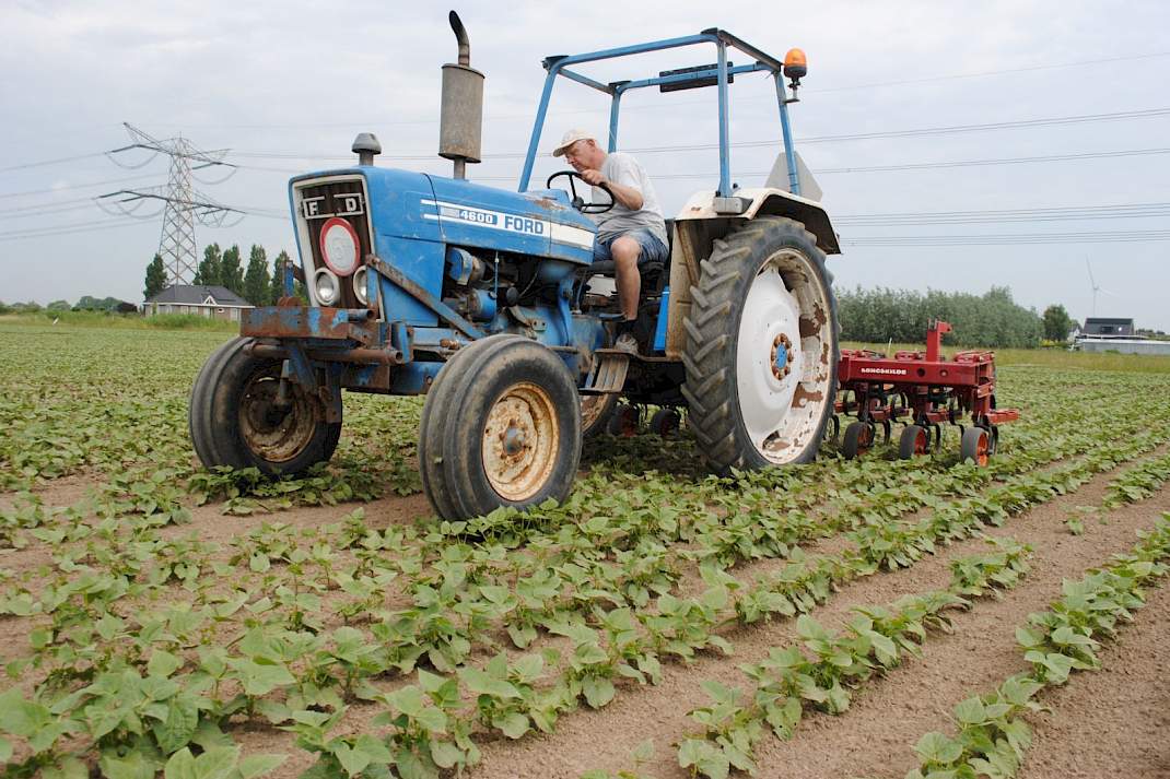 Trekker bonen Peter van den Hoek Heijenoord HAK schoffelen