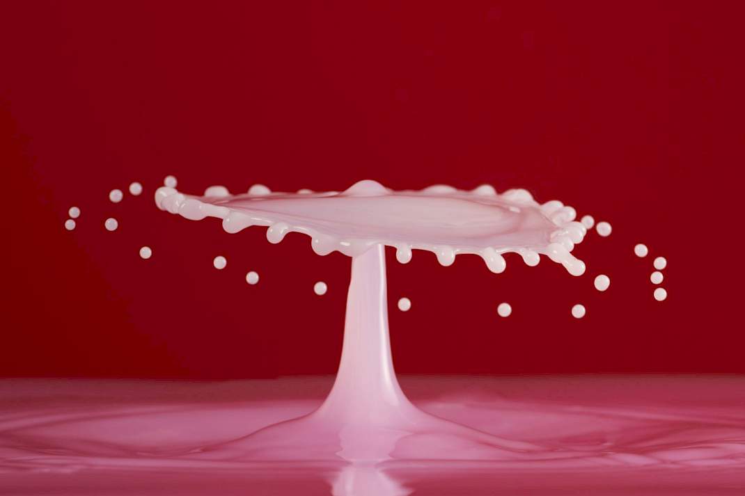 Melk