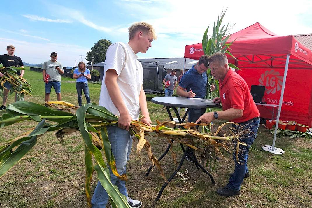 Deelnemers bepalen samen met Limagrain het oogstmoment van verse maïsplanten