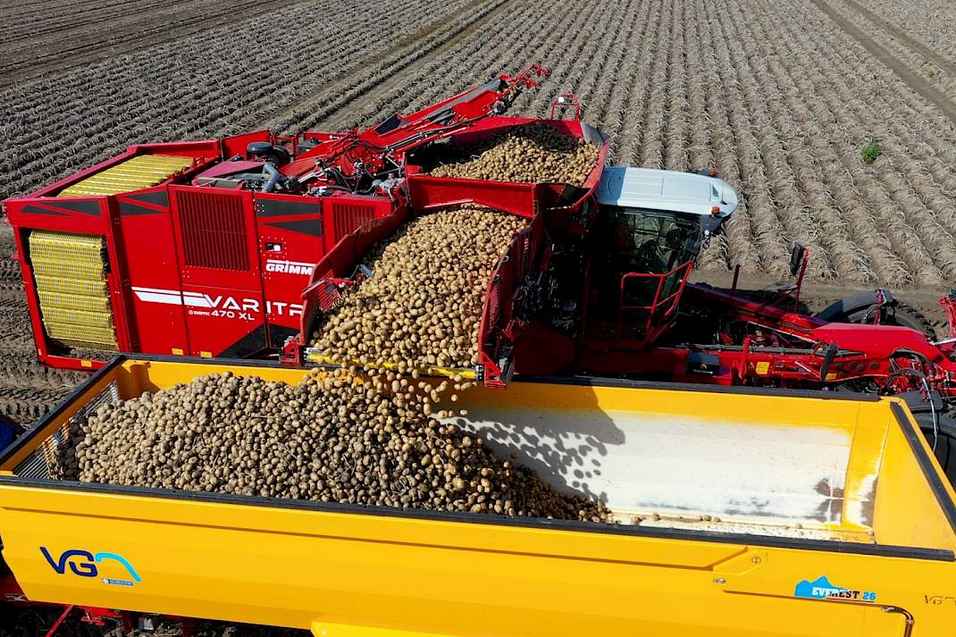 Grimme Varitron Libra aardappelen Aardappeldemodag kipper rooier