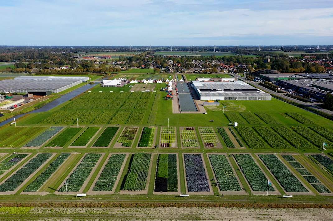 Seed Valley.