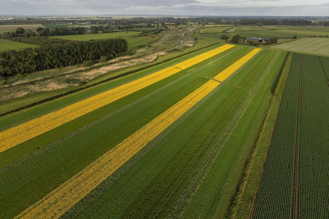 Een BAM-akker in Gelderland.