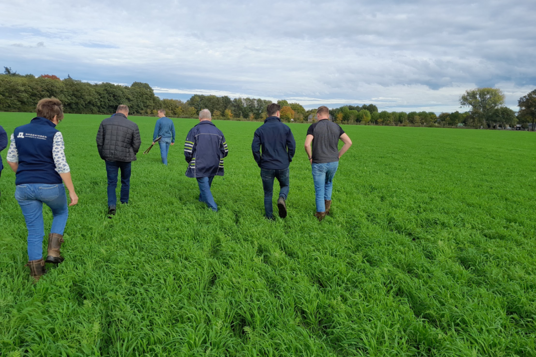 Mensen wandelen in een weiland