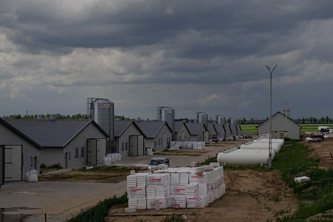 Een vleeskuikenbedrijf in Polen in opbouw