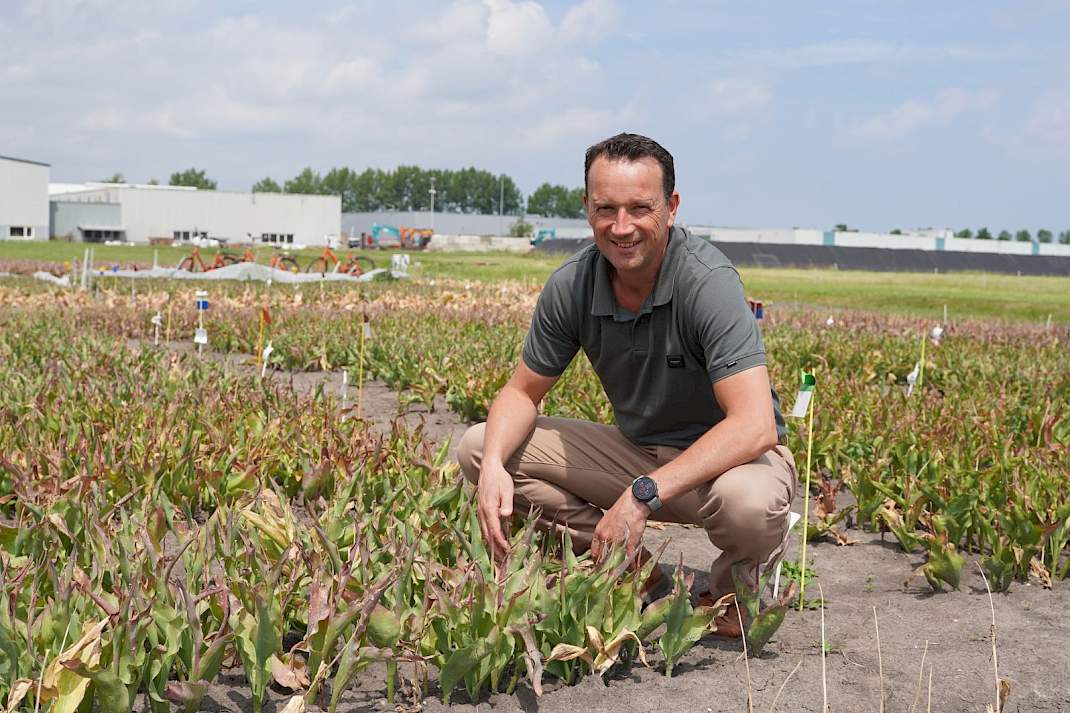 Michel Jansen