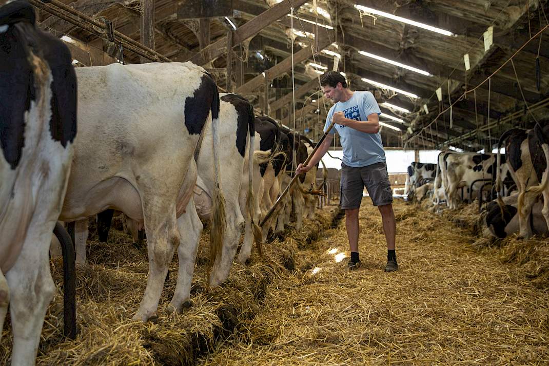 Harmen Endendijk in zijn grupstal