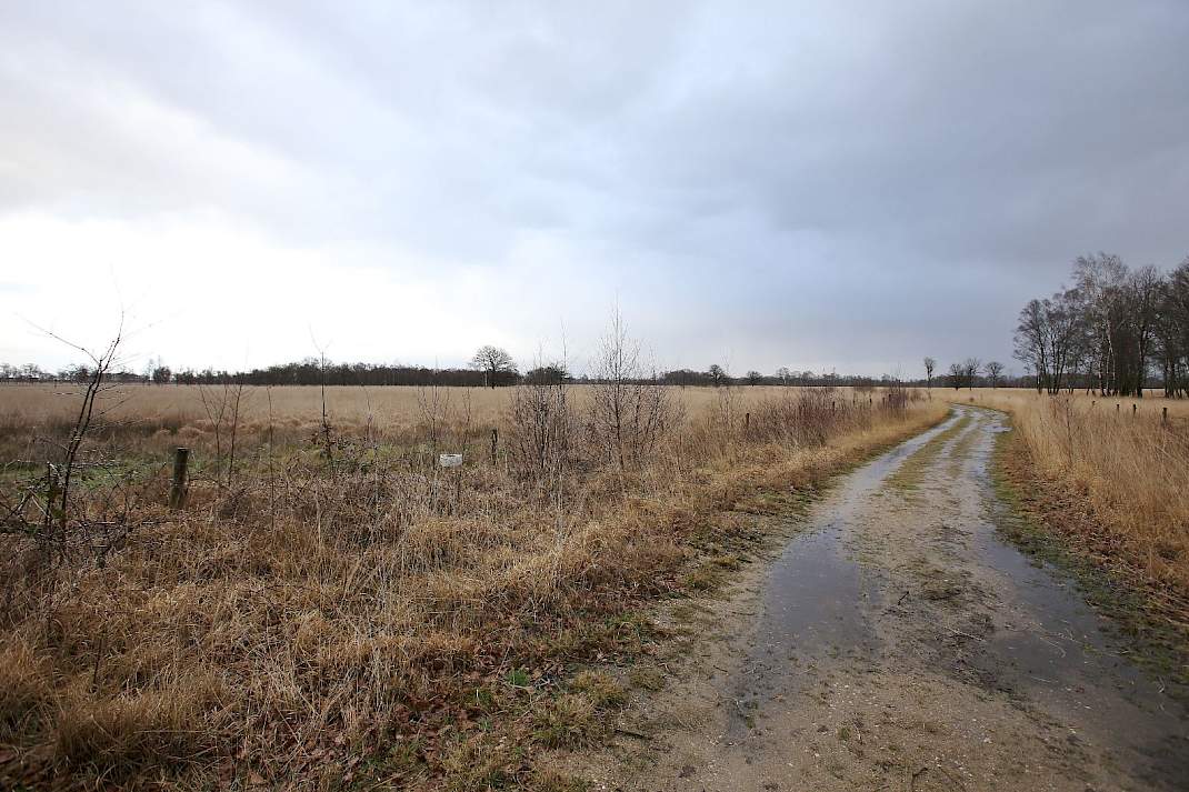 Natuurgebied Limburg