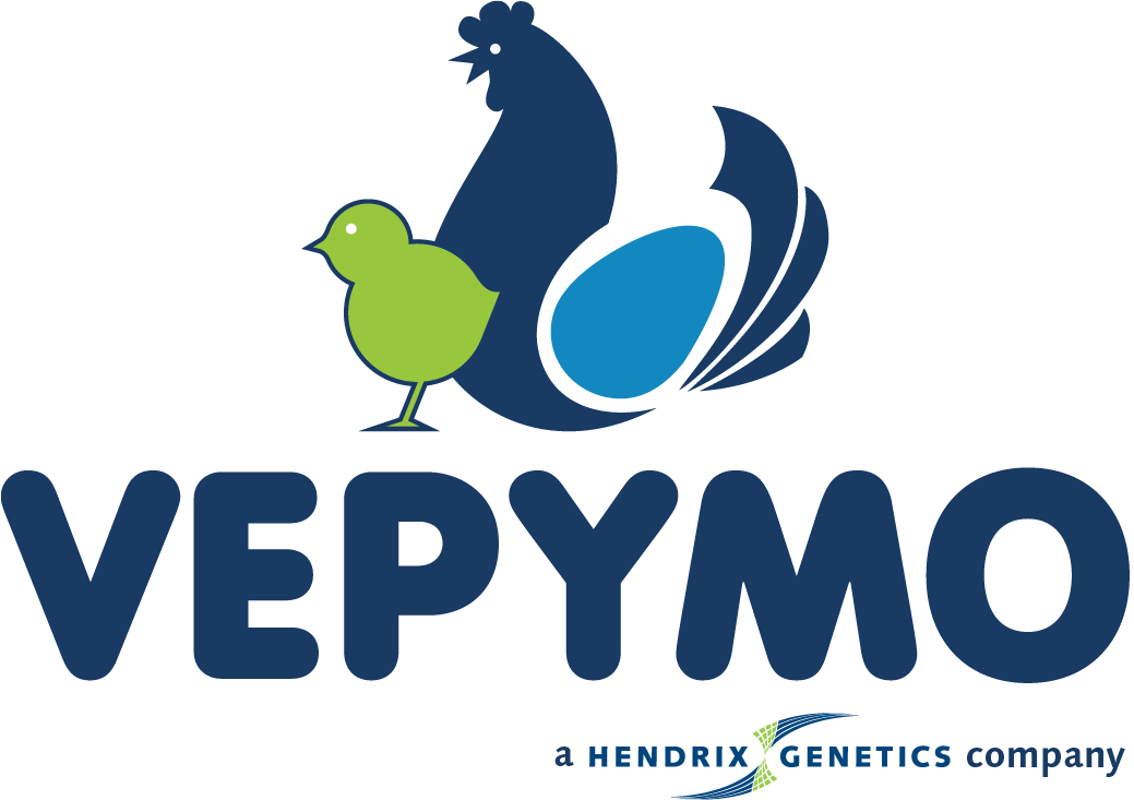 Logo Vepymo