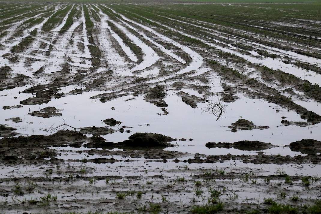 Wateroverlast op akker