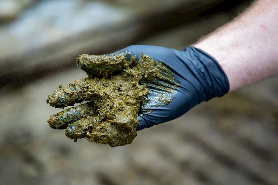Mest aan een hand.