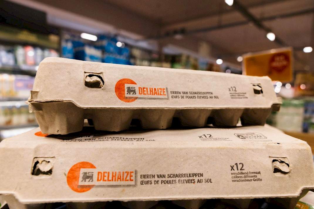 Eieren van Delhaize