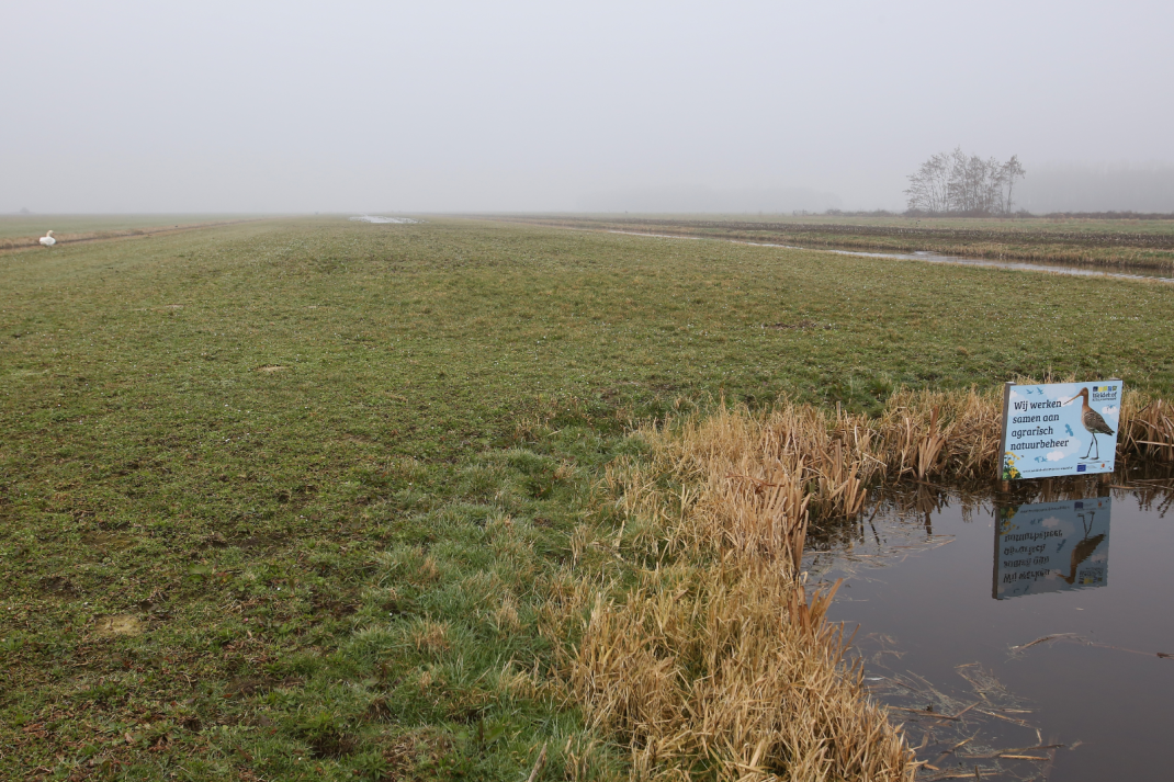 Grasland in een gebied waar wordt gewerkt aan agrarisch natuurbeheer