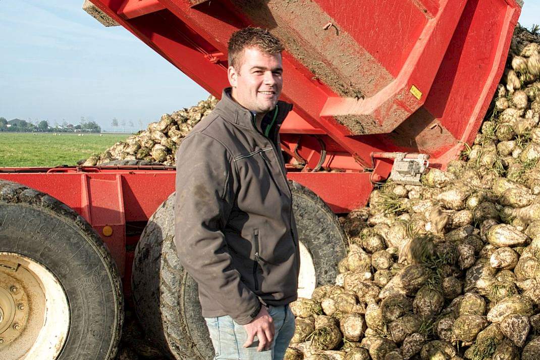 Hanse akkerbouwer suikerbieten rooien