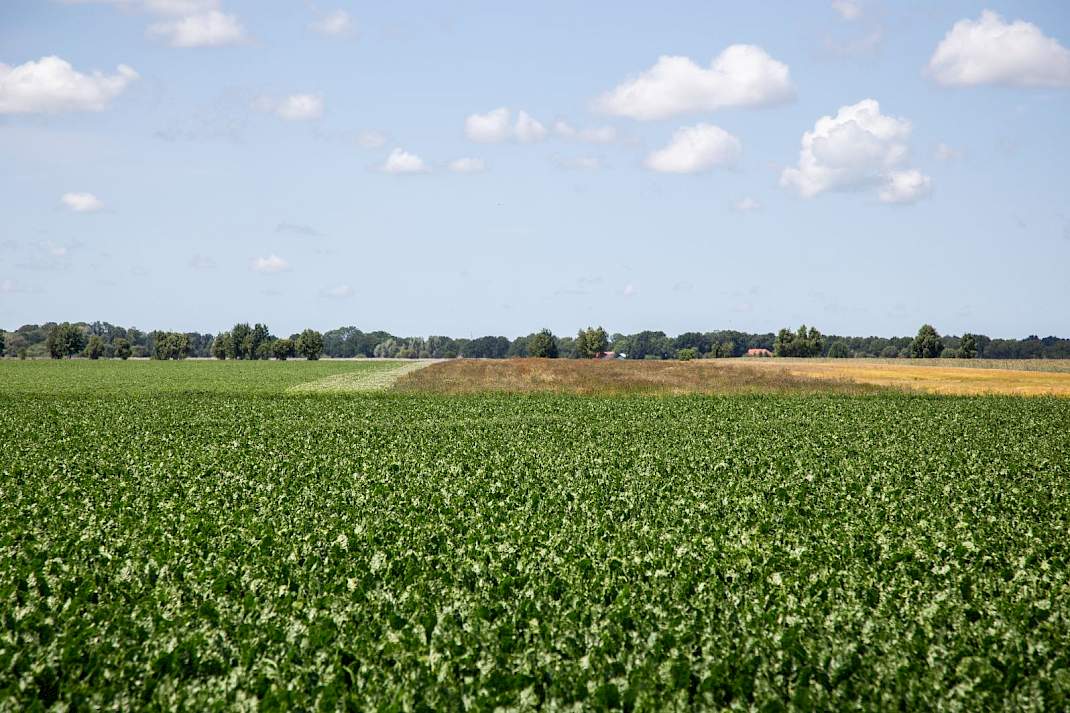 Braak boeren natuur Groningen