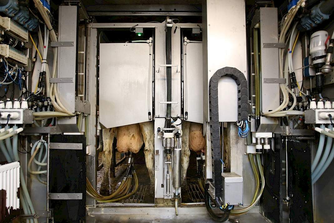 Een automatisch melksysteem van Boumatic