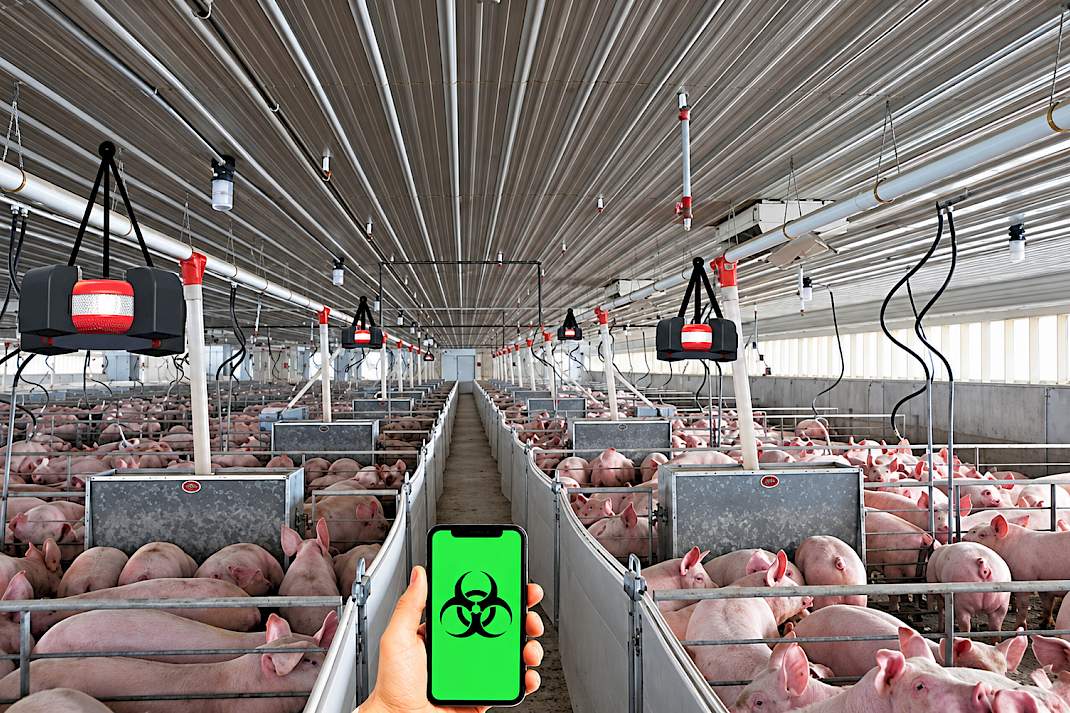 Enkele van de belangrijkste resultaten waren dat de bruikbaarheid van een virusrookdetector voor de geautomatiseerde detectie van PRRSV-infecties in varkensstallen is gevalideerd.