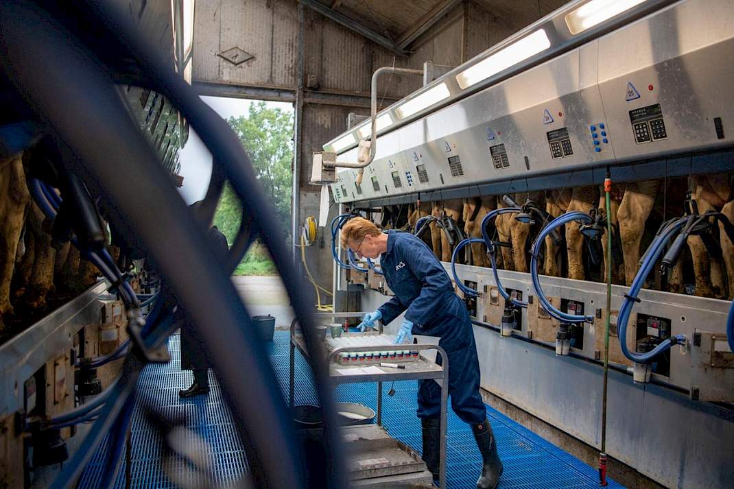 Melkcontrole bij een melkveehouder