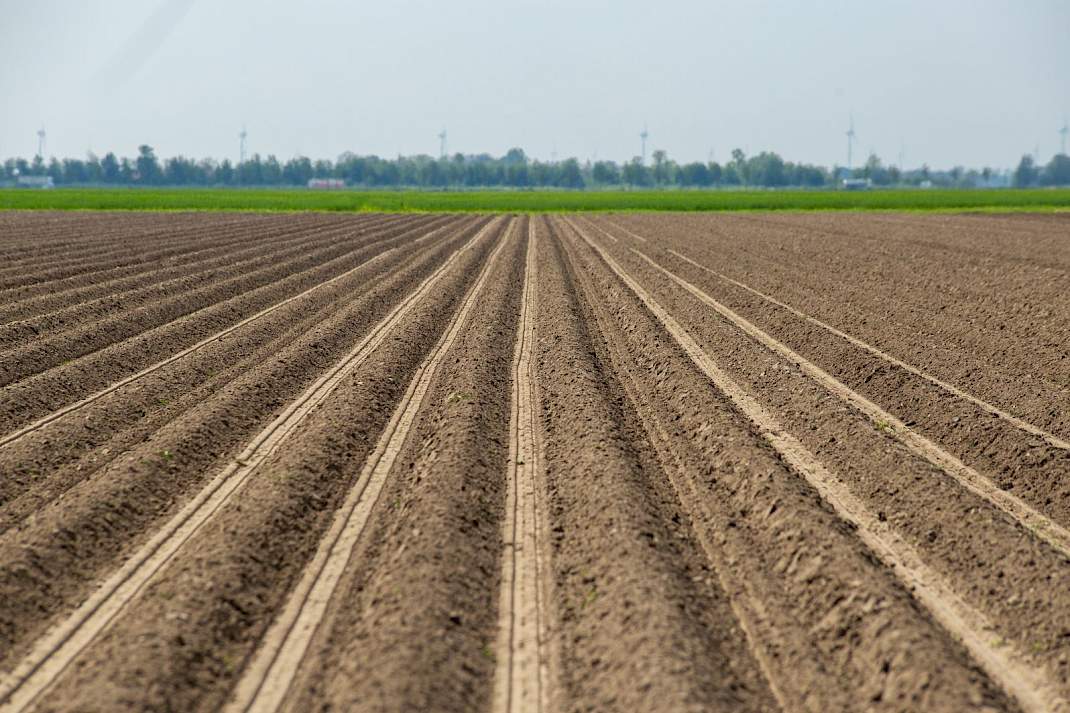 GLMC 7: minimaal op 1/3 van het bouwland een ander hoofdgewas telen.