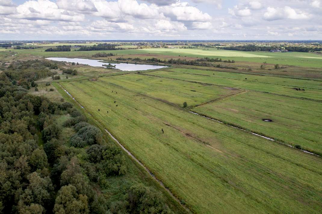 Fries landschap
