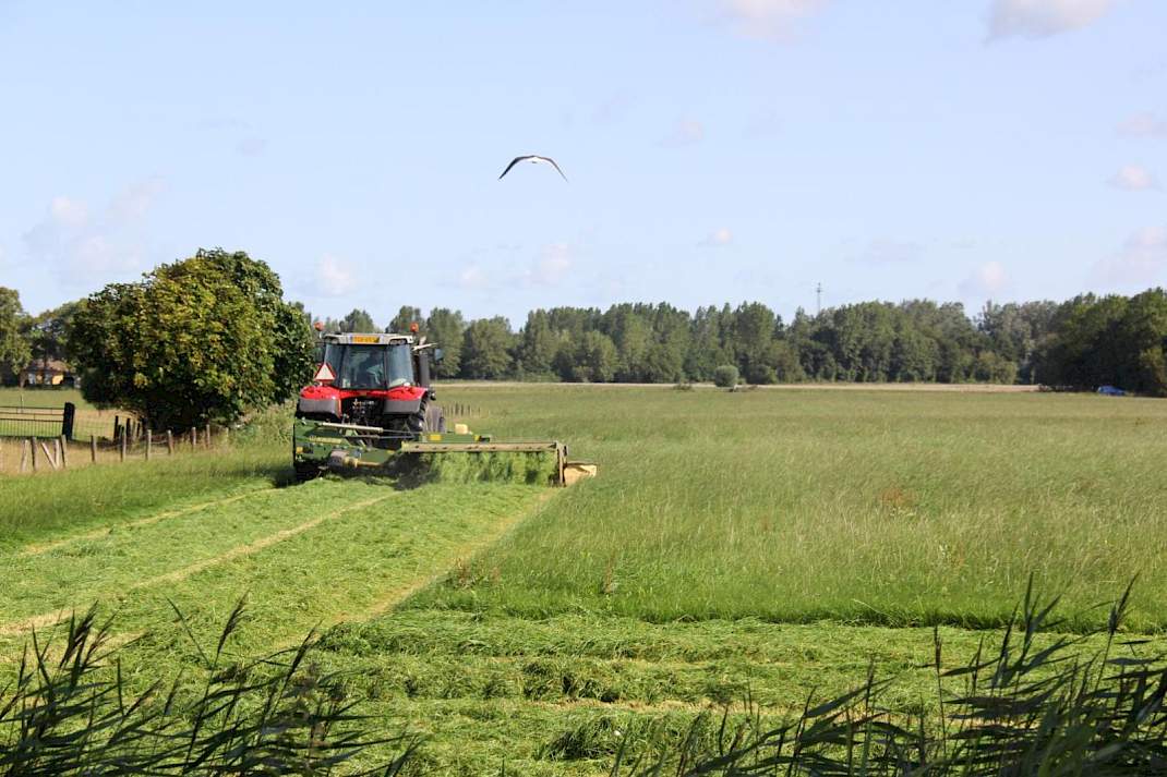 Melkveehouder maait gras voor de tweede snede