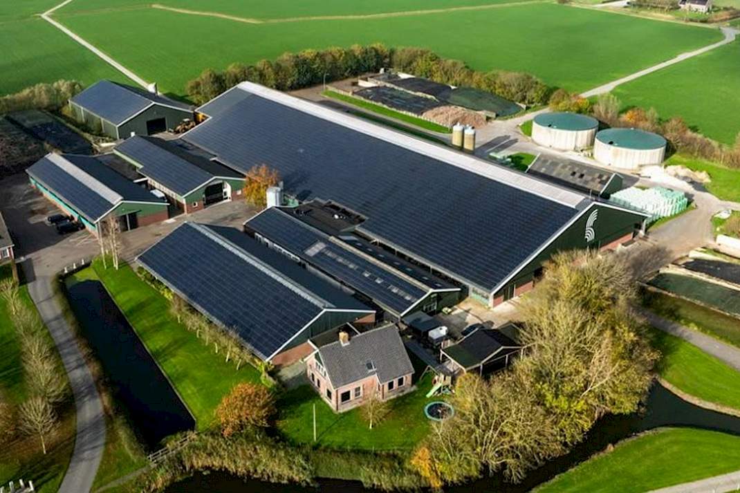 Melkveebedrijf Koepon