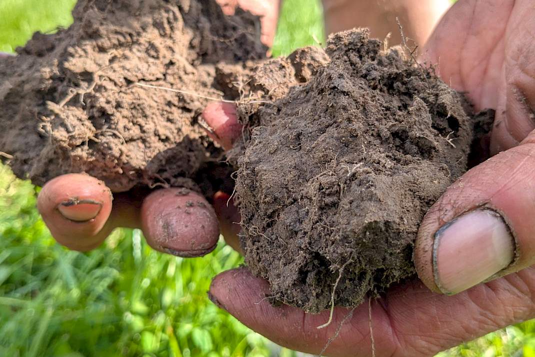 beworteling bodem kluiten akkerbouw