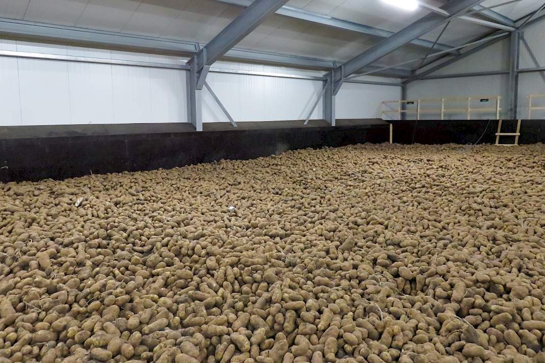 Aardappelbewaring