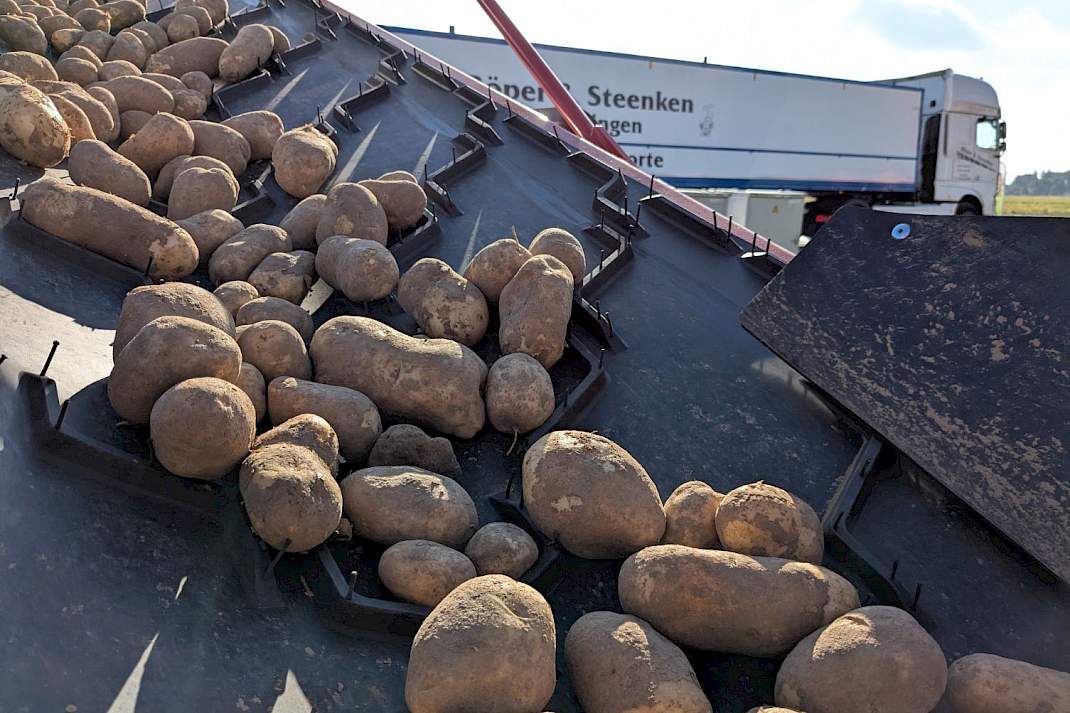aardappelen band transport Duitsland