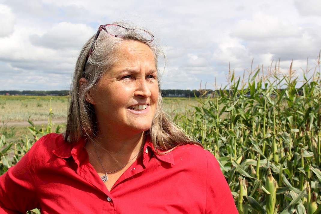 Grietje Raaphorst in de mais