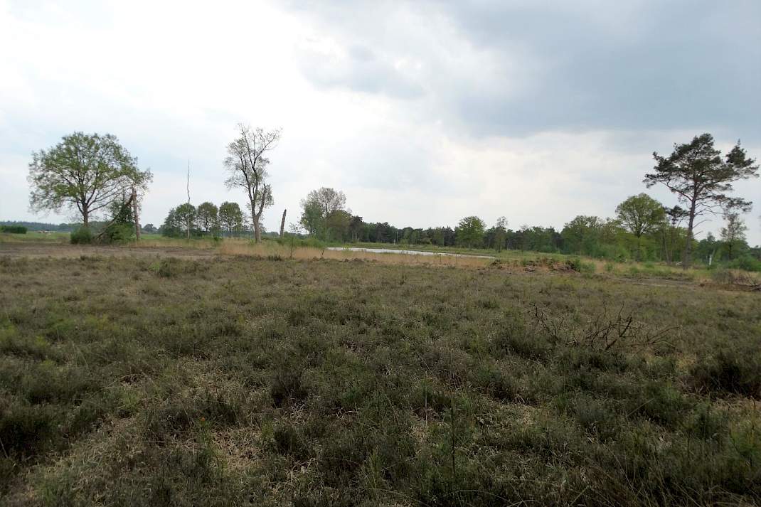 Natura 2000-gebied het Boetelerveld