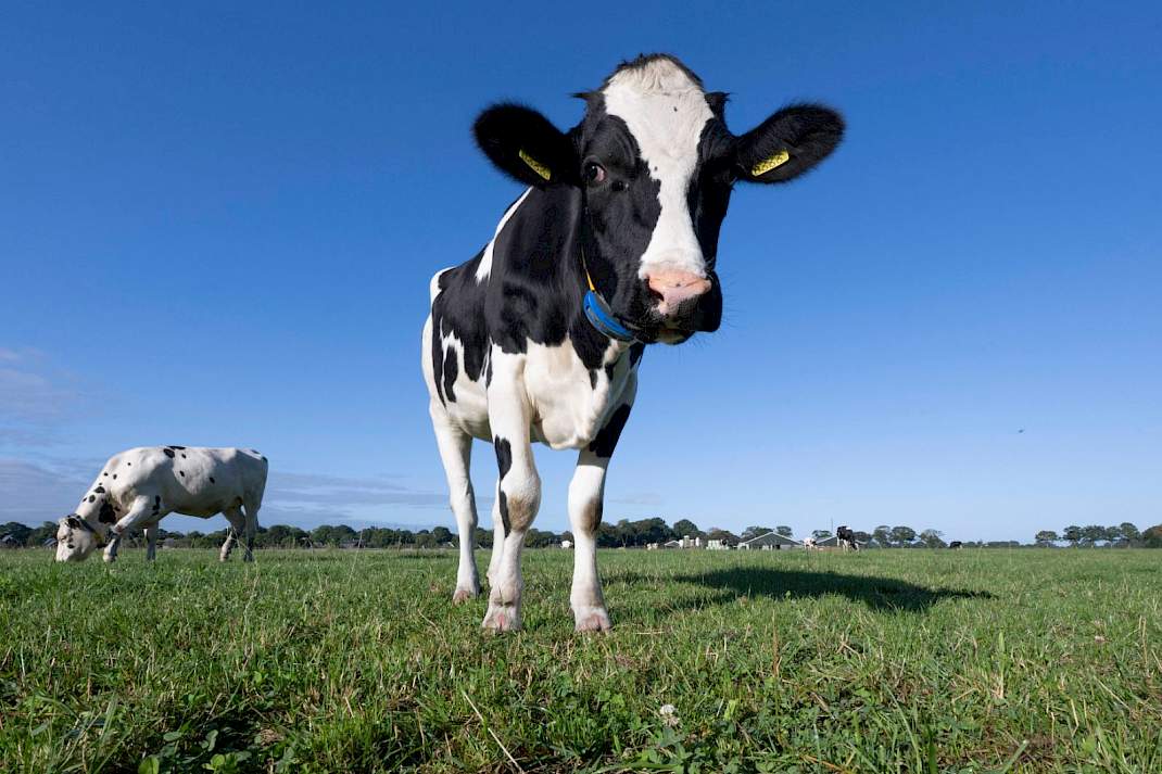 Hoe haal je meer waarde uit je producten?