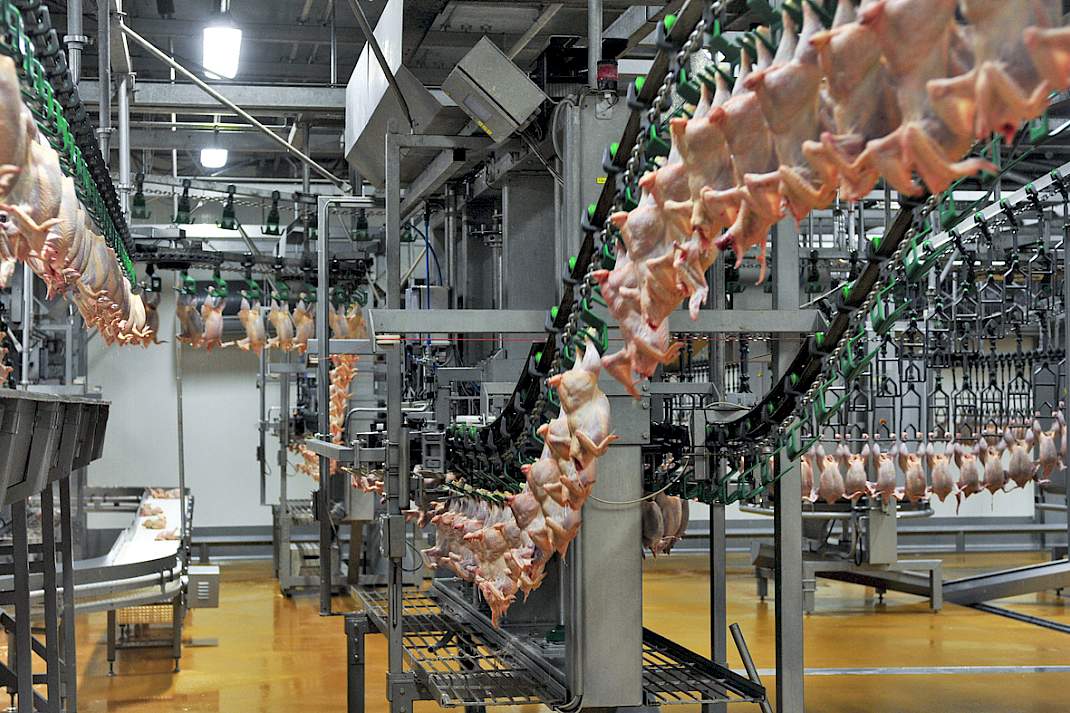 Productielijn in de slachterij