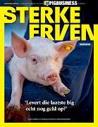 Vakblad Sterke Erven Varkens &rsaquo; Editie 2026-5