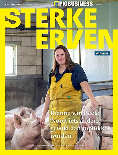 Sterke Erven Varkens &rsaquo; Editie 2026-6