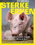 Sterke Erven Varkens › Editie 2026-7
