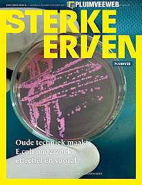 Sterke Erven Pluimvee &rsaquo; Editie 2026-6