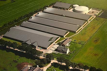 Bouwblok 3 hectare