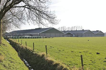 Aanzicht stallen