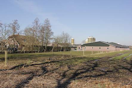 Varkensbedrijf De Veldkamp Dirk Dekker Nijkerk