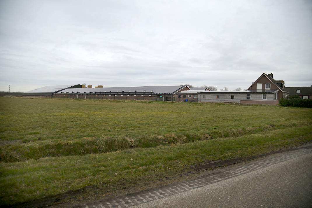 aanzicht varkenshouderij Spanjers