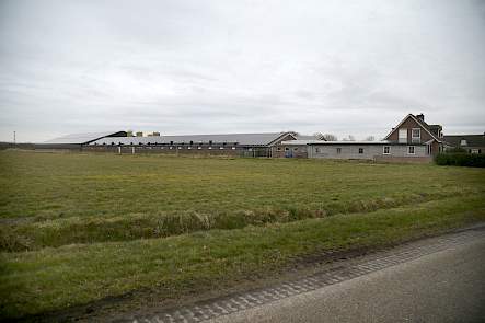aanzicht varkenshouderij Spanjers