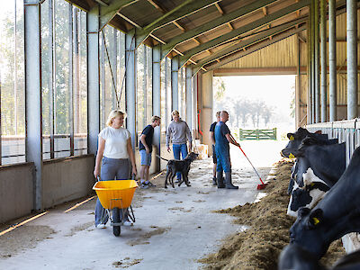 Begin 2026 live: deze titels worden Sterke Erven