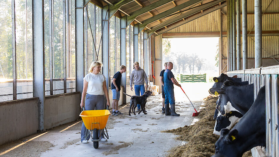 aan het werk op de boerderij
