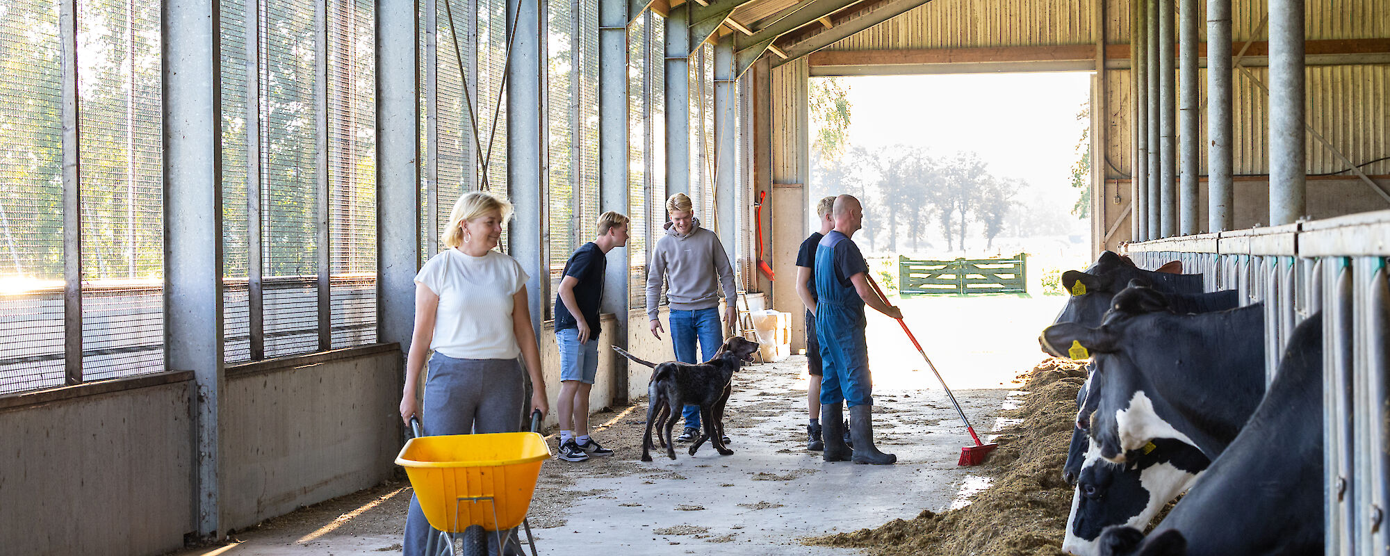 Achtergrond afbeelding