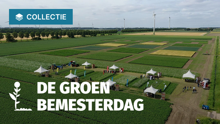 Collectie De Groenbemesterdag
